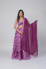 Stylish Lehenga Set & Blouse