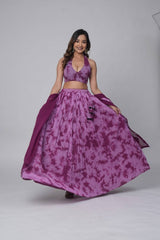 Stylish Lehenga Set & Blouse