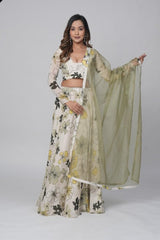 Stylish Lehenga & Blouse