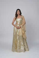 Sequence Lehenga set
