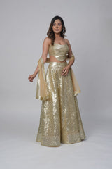 Sequence Lehenga set